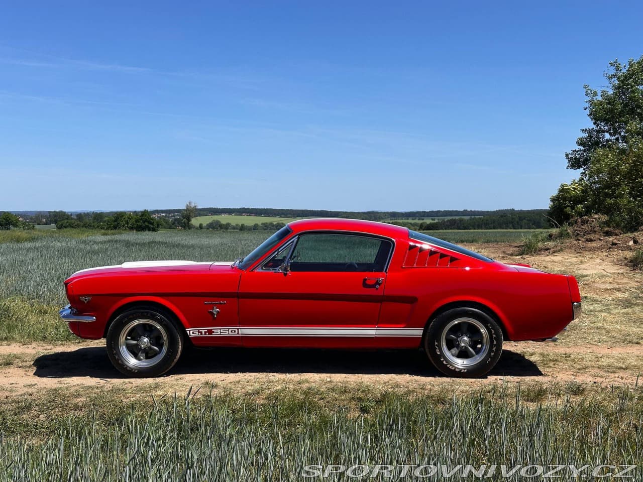1965 Ford MUSTANG - 11