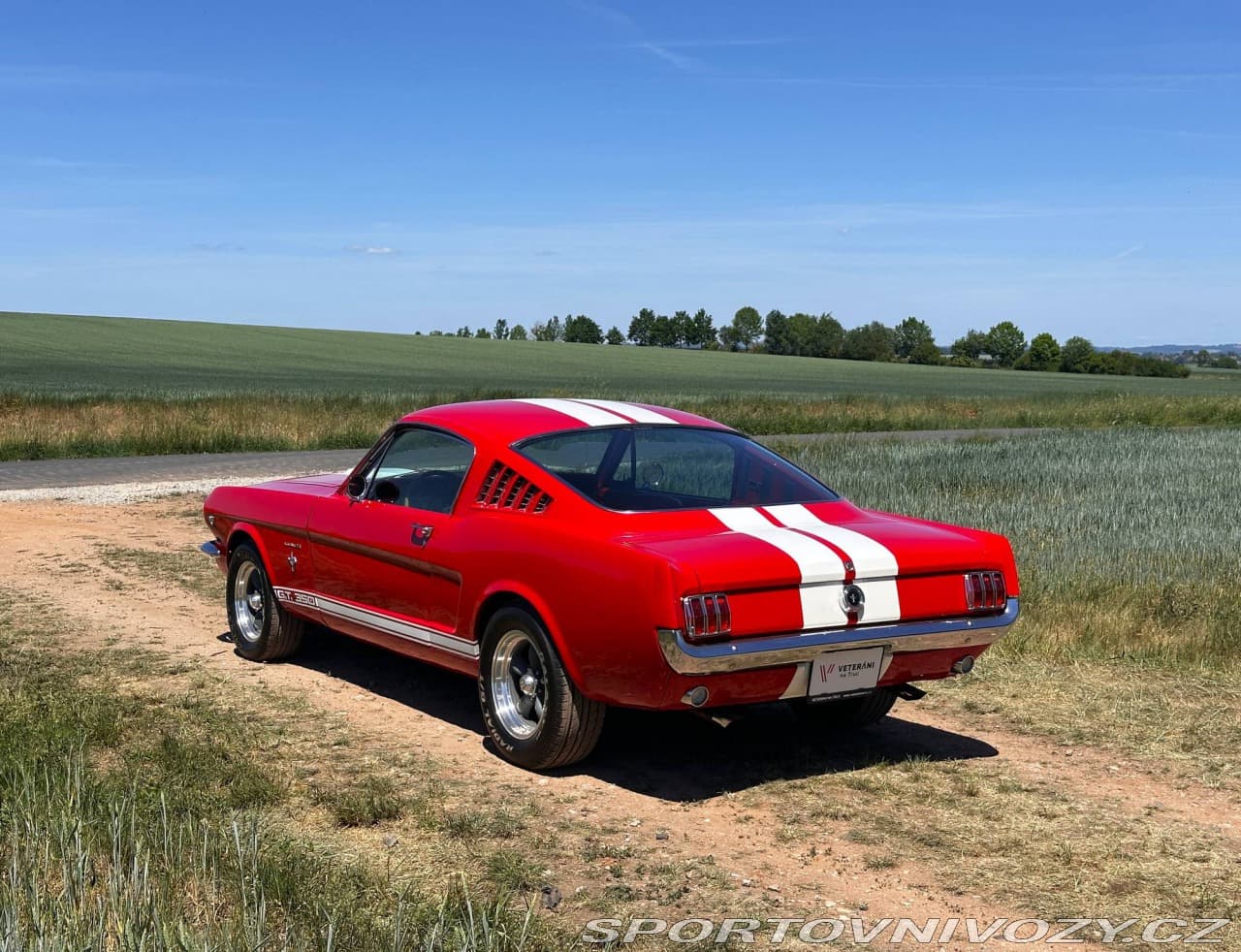 1965 Ford MUSTANG - 13