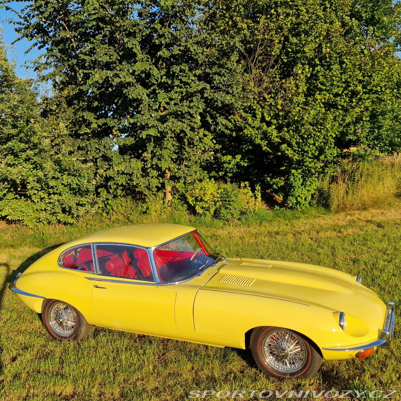 1968 Jaguar E-TYPE