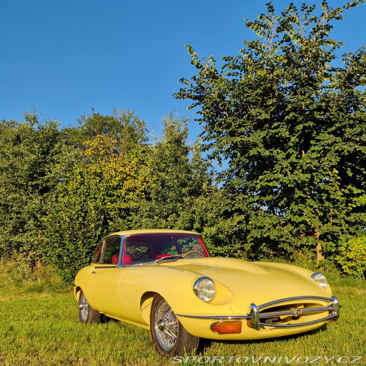 1968 Jaguar E-TYPE - 19