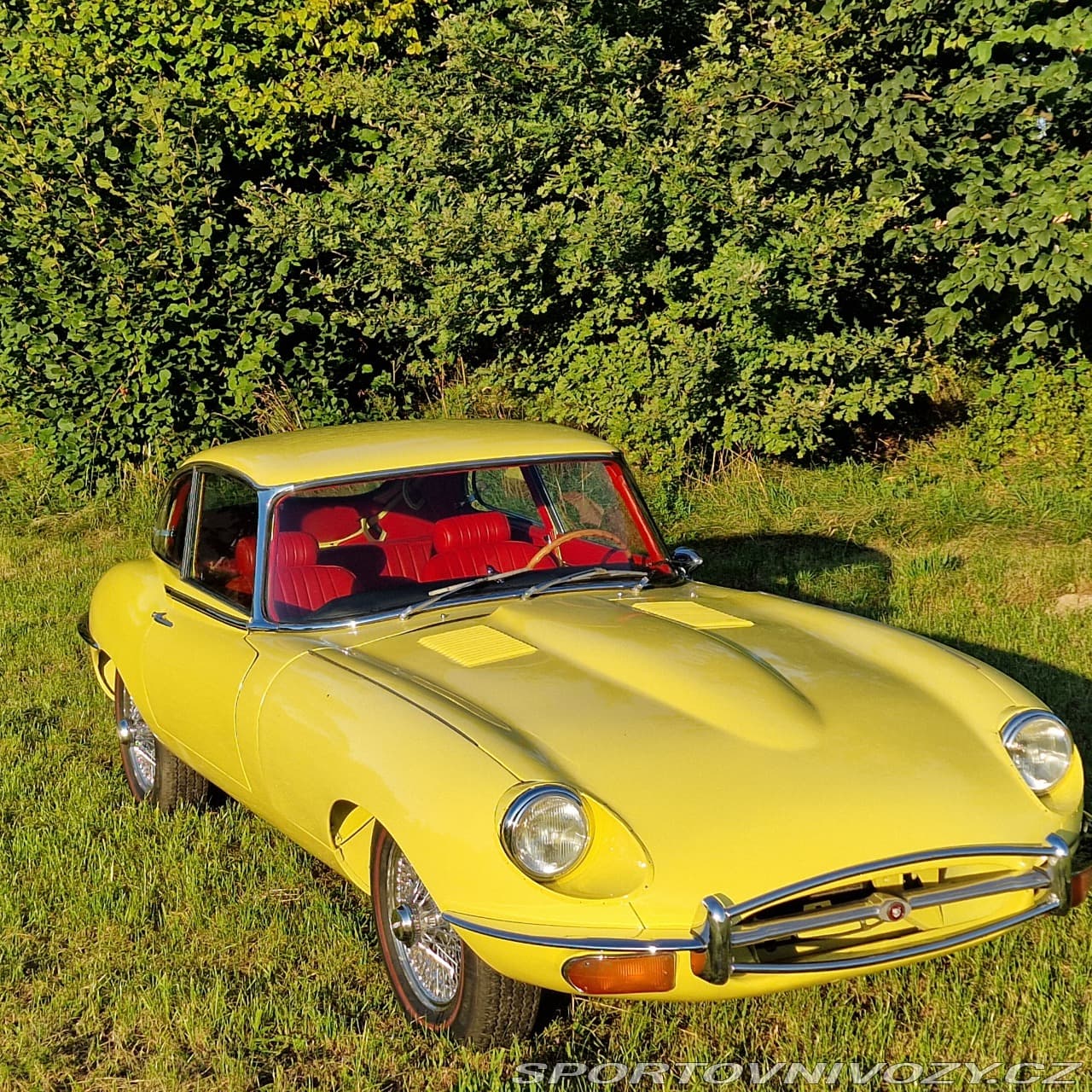 1968 Jaguar E-TYPE - 3