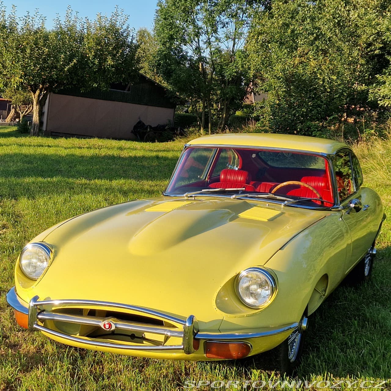 1968 Jaguar E-TYPE - 4