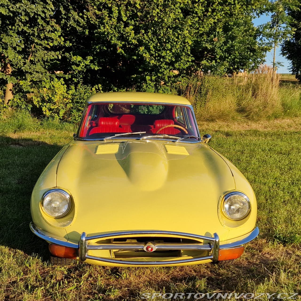 1968 Jaguar E-TYPE - 5