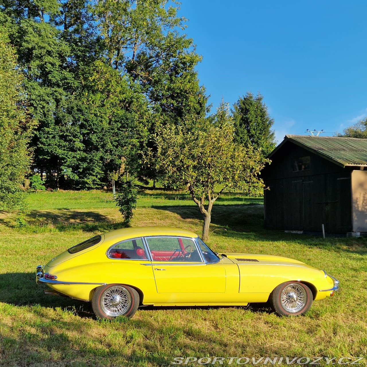 1968 Jaguar E-TYPE - 8