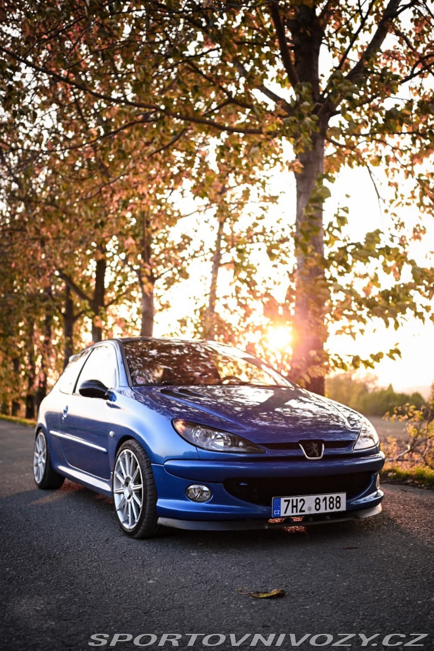 2004 Peugeot 206 - 13