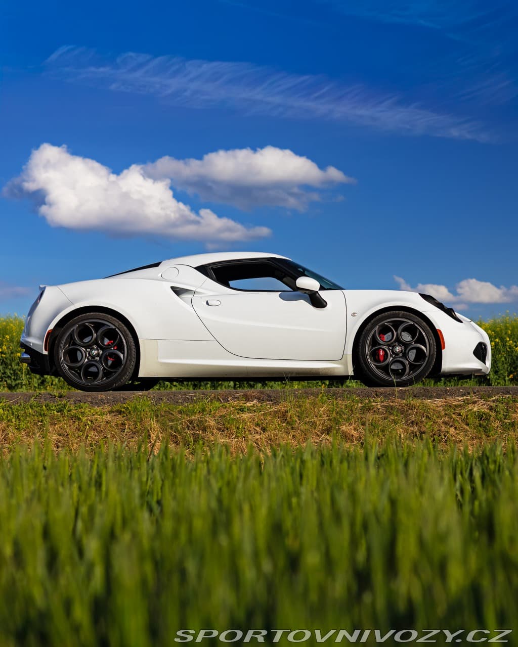2016 Alfa Romeo 4C - 2