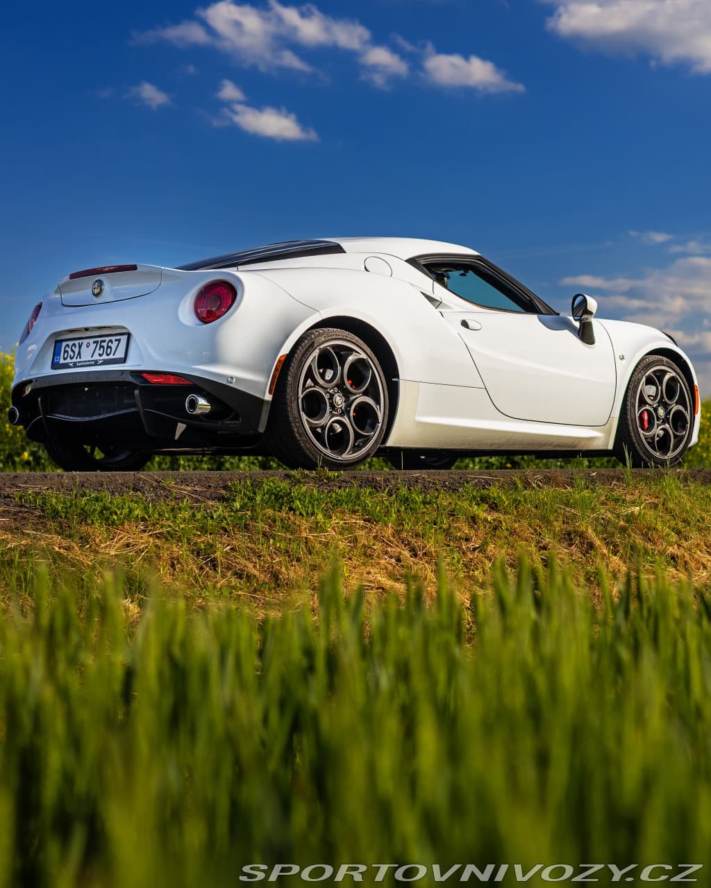 2016 Alfa Romeo 4C - 6