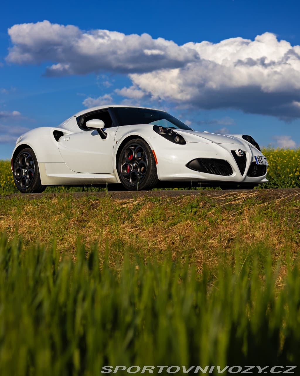 2016 Alfa Romeo 4C - 7