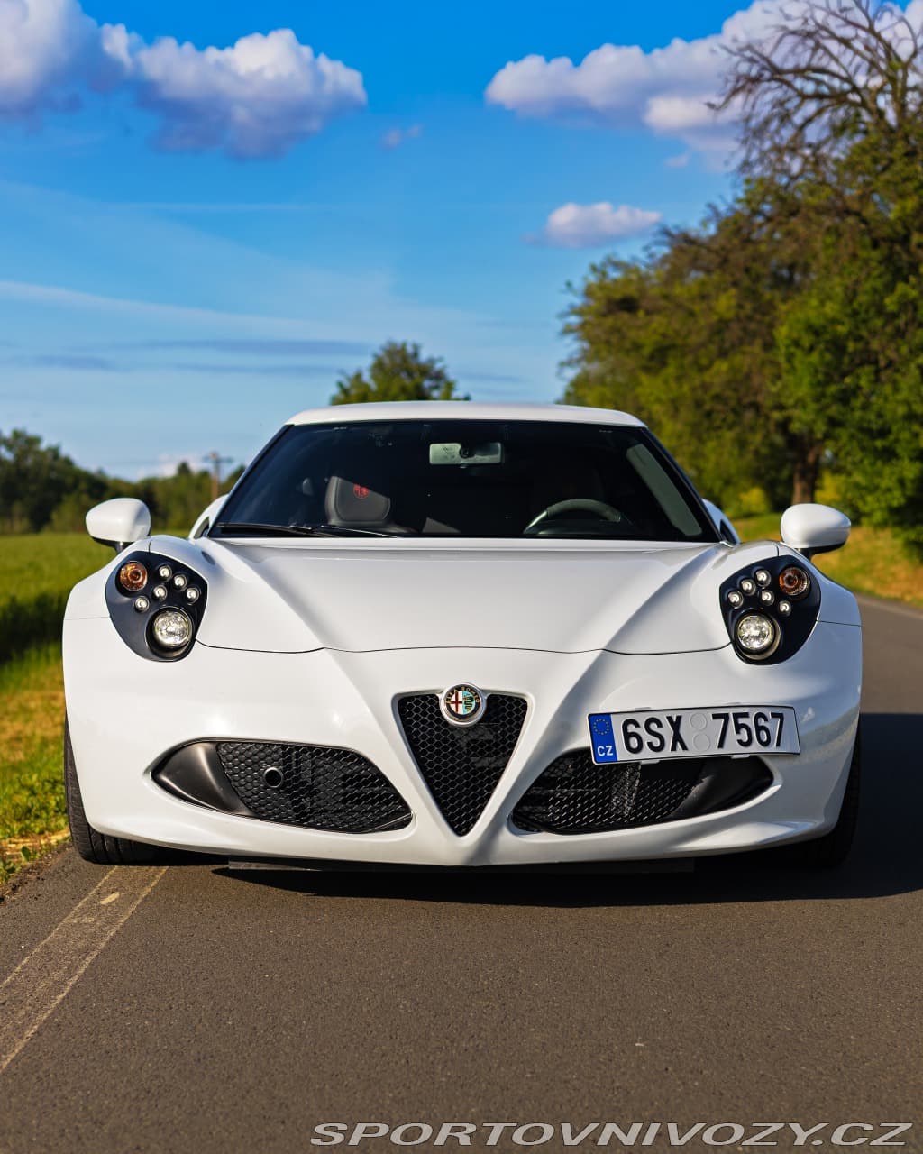 2016 Alfa Romeo 4C - 8