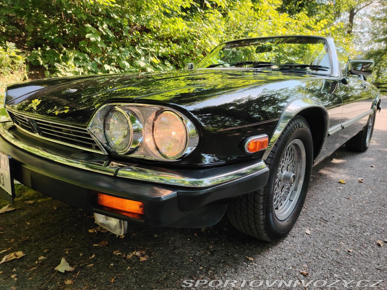 1988 Jaguar OSTATNÍ - 8