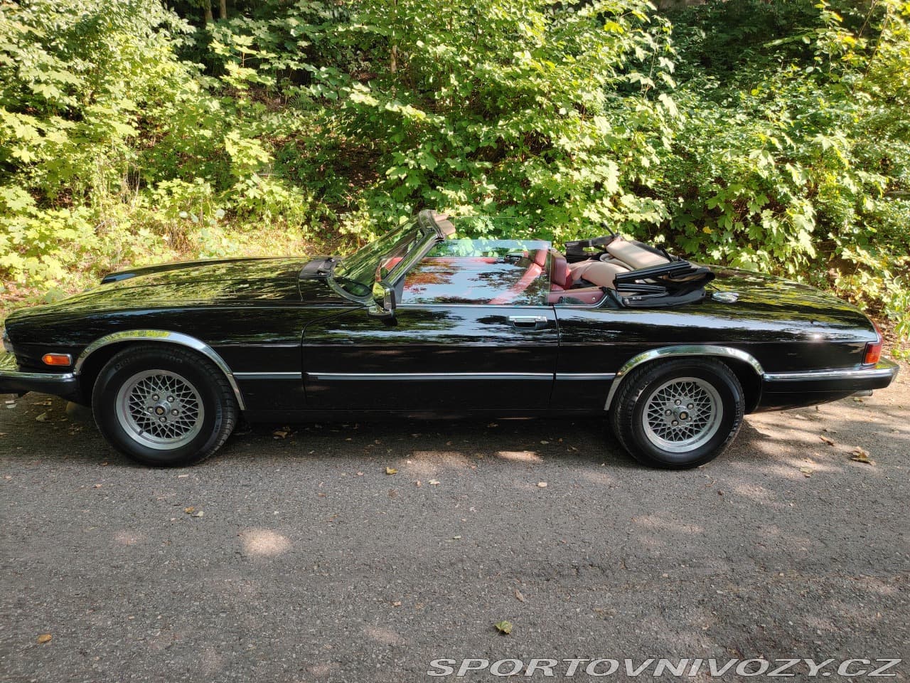 1988 Jaguar OSTATNÍ - 9