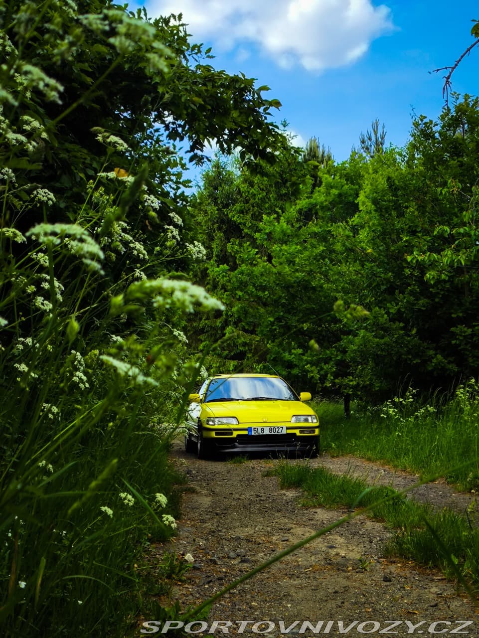 1991 Honda CRX - 2