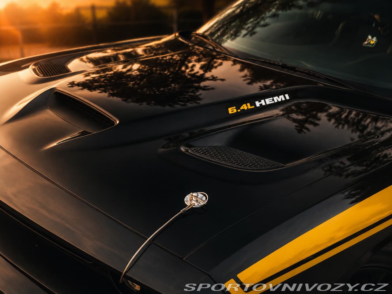 2021 Dodge CHALLENGER - 10