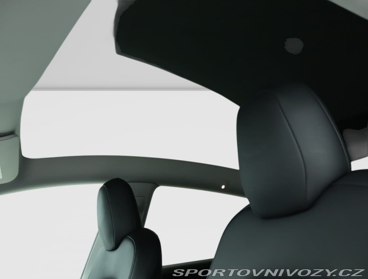 2022 Tesla MODEL Y - 55