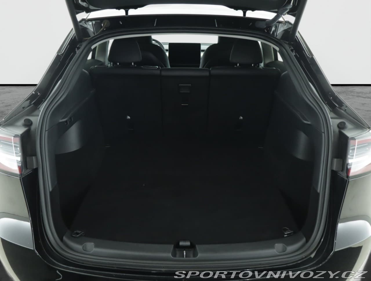 2023 Tesla MODEL Y - 40