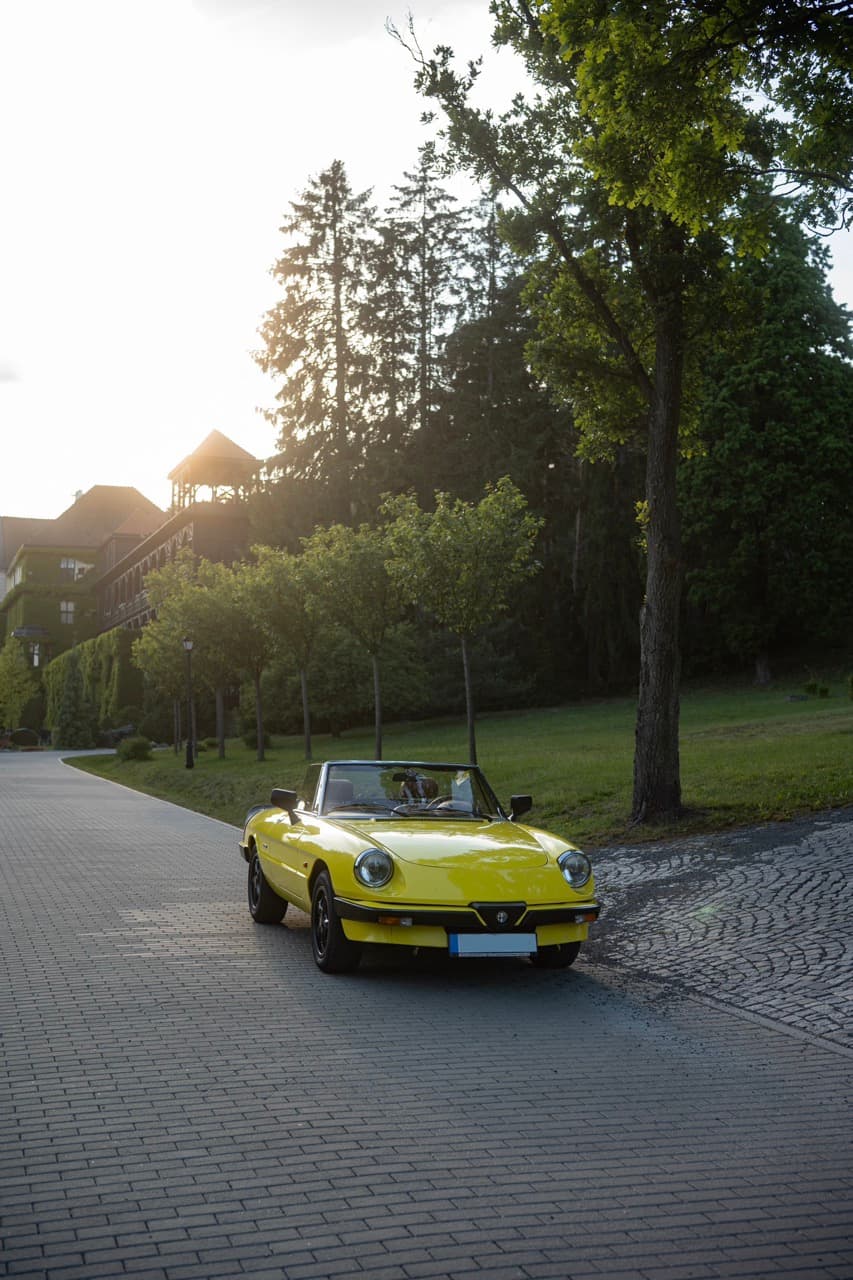 1989 Alfa Romeo SPIDER - 46
