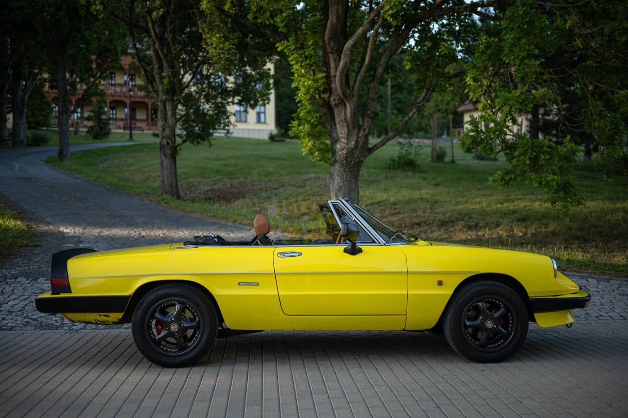 1989 Alfa Romeo SPIDER - 16