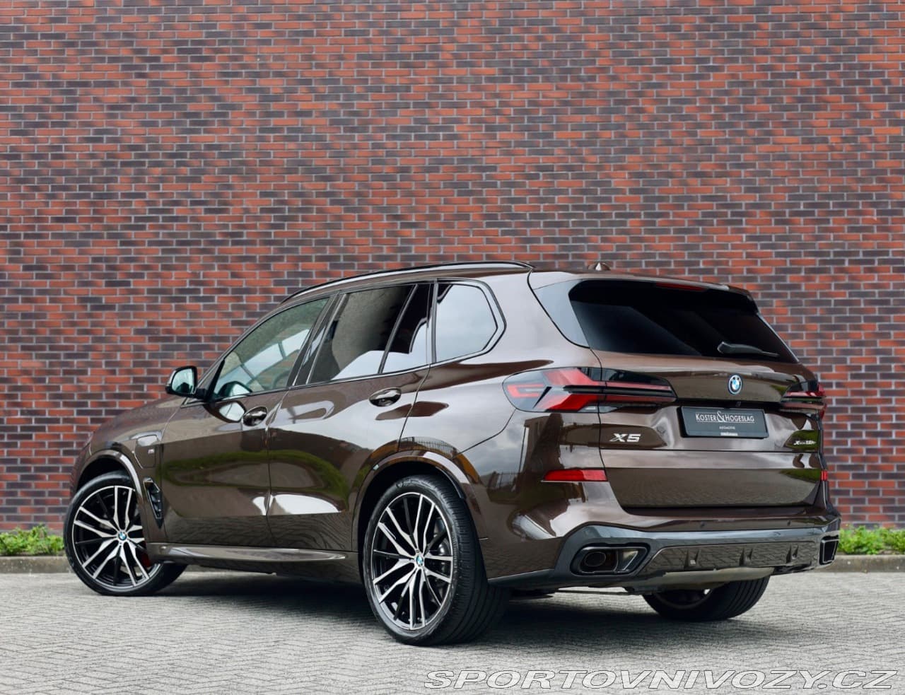 2025 BMW X5 - 2