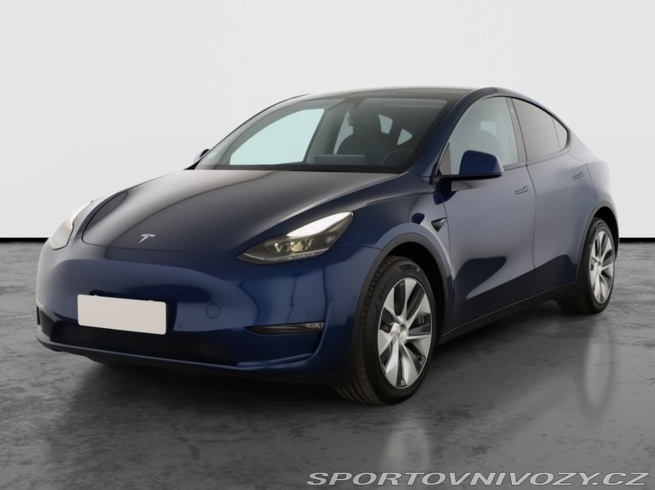 2021 Tesla MODEL Y - 2