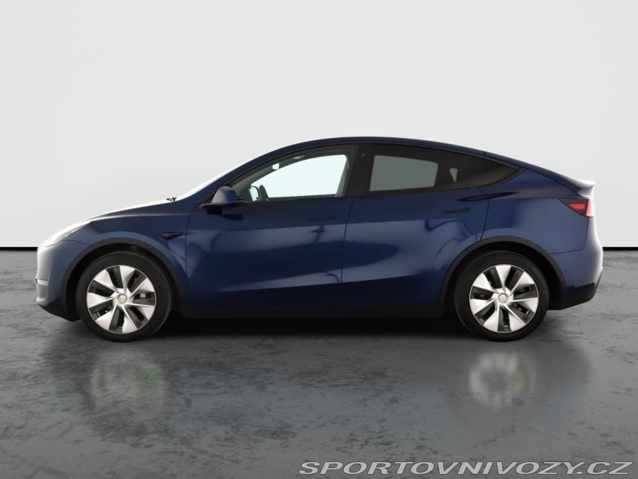 2021 Tesla MODEL Y - 3