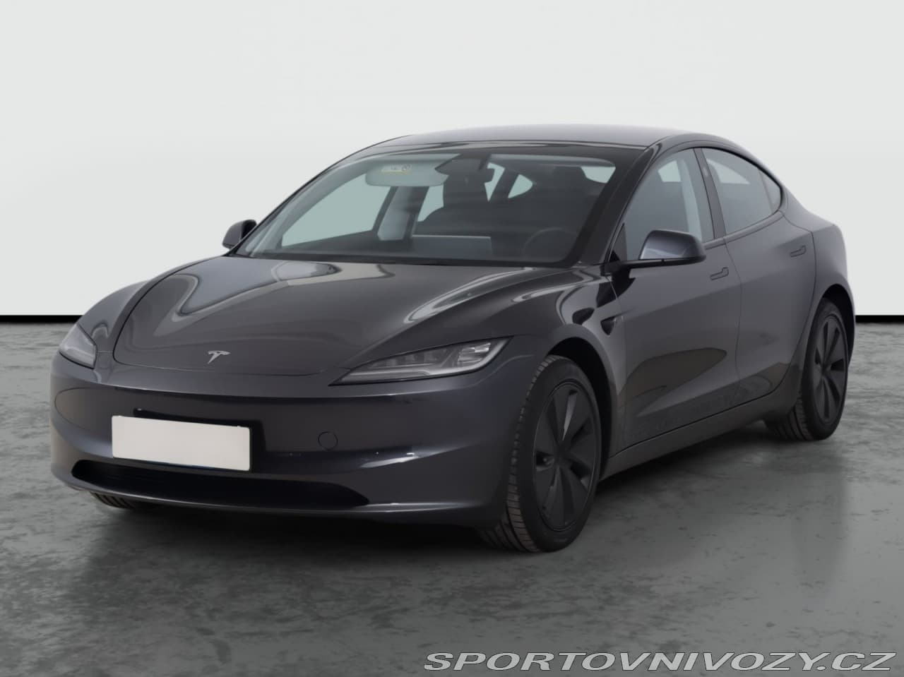2025 Tesla MODEL 3 - 2