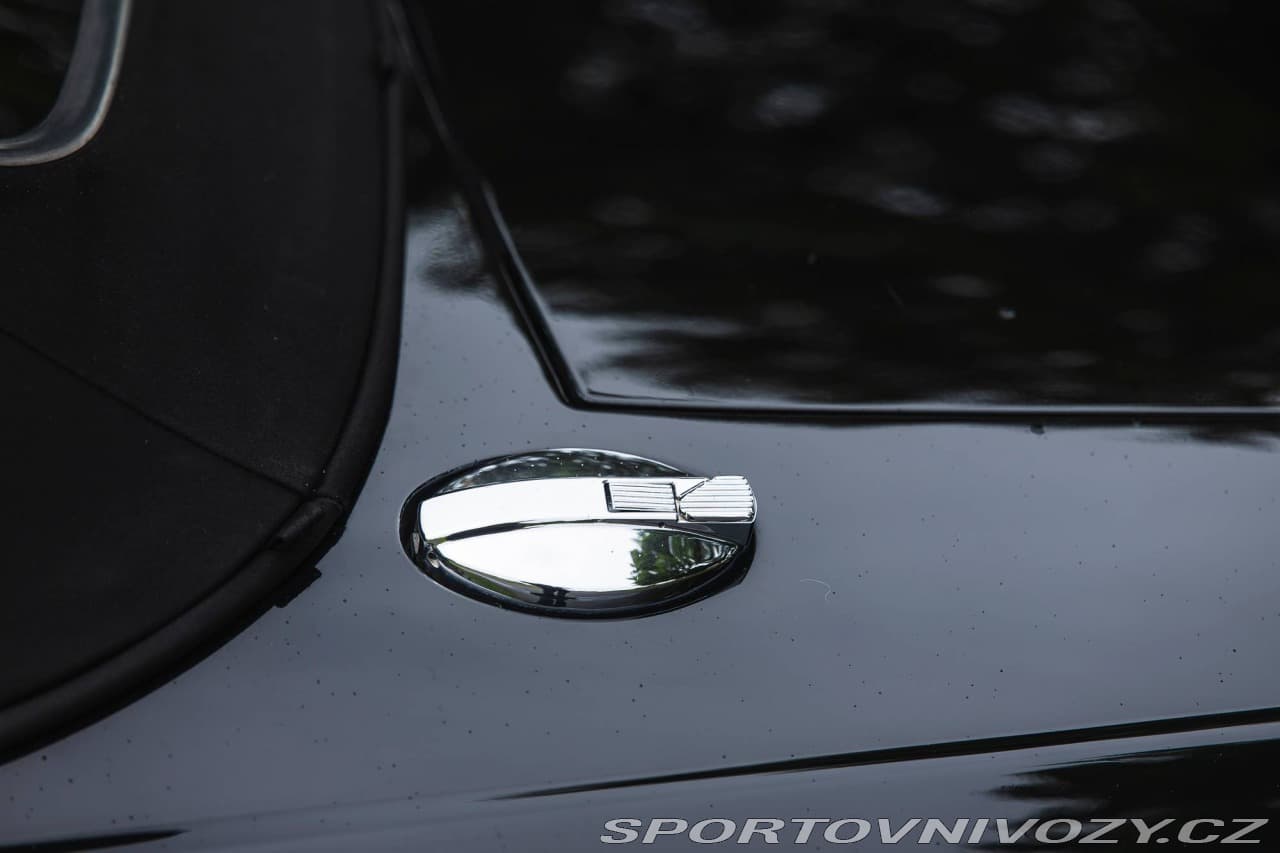 1994 Jaguar OSTATNÍ - 25