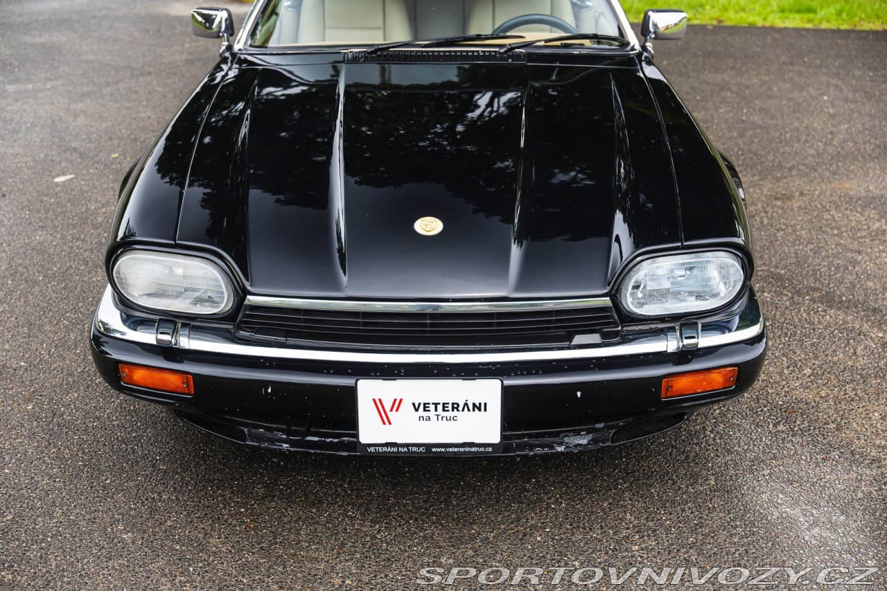 1994 Jaguar OSTATNÍ - 35