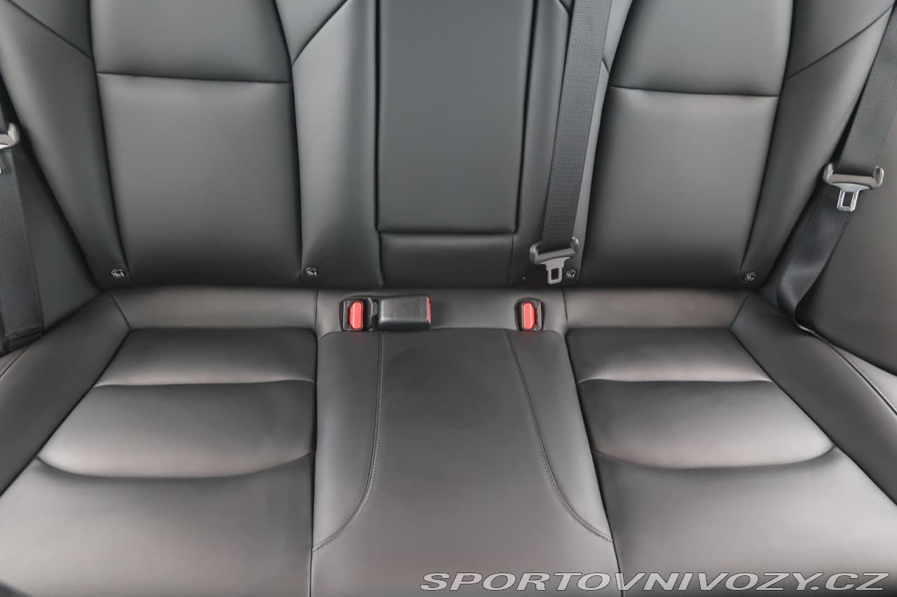 2021 Tesla MODEL 3 - 10