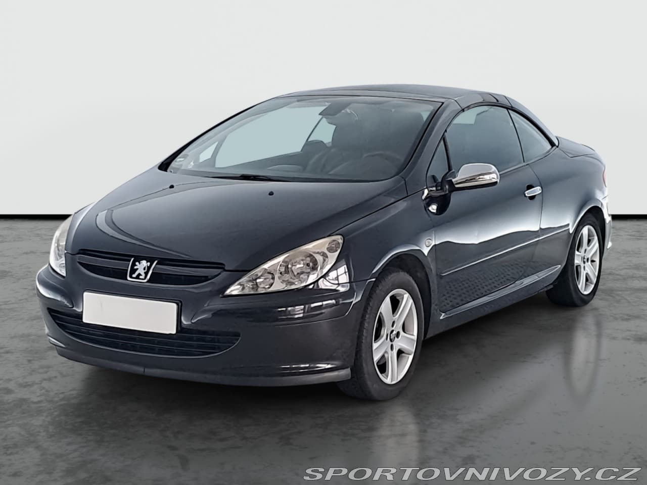 2004 Peugeot 307 - 3