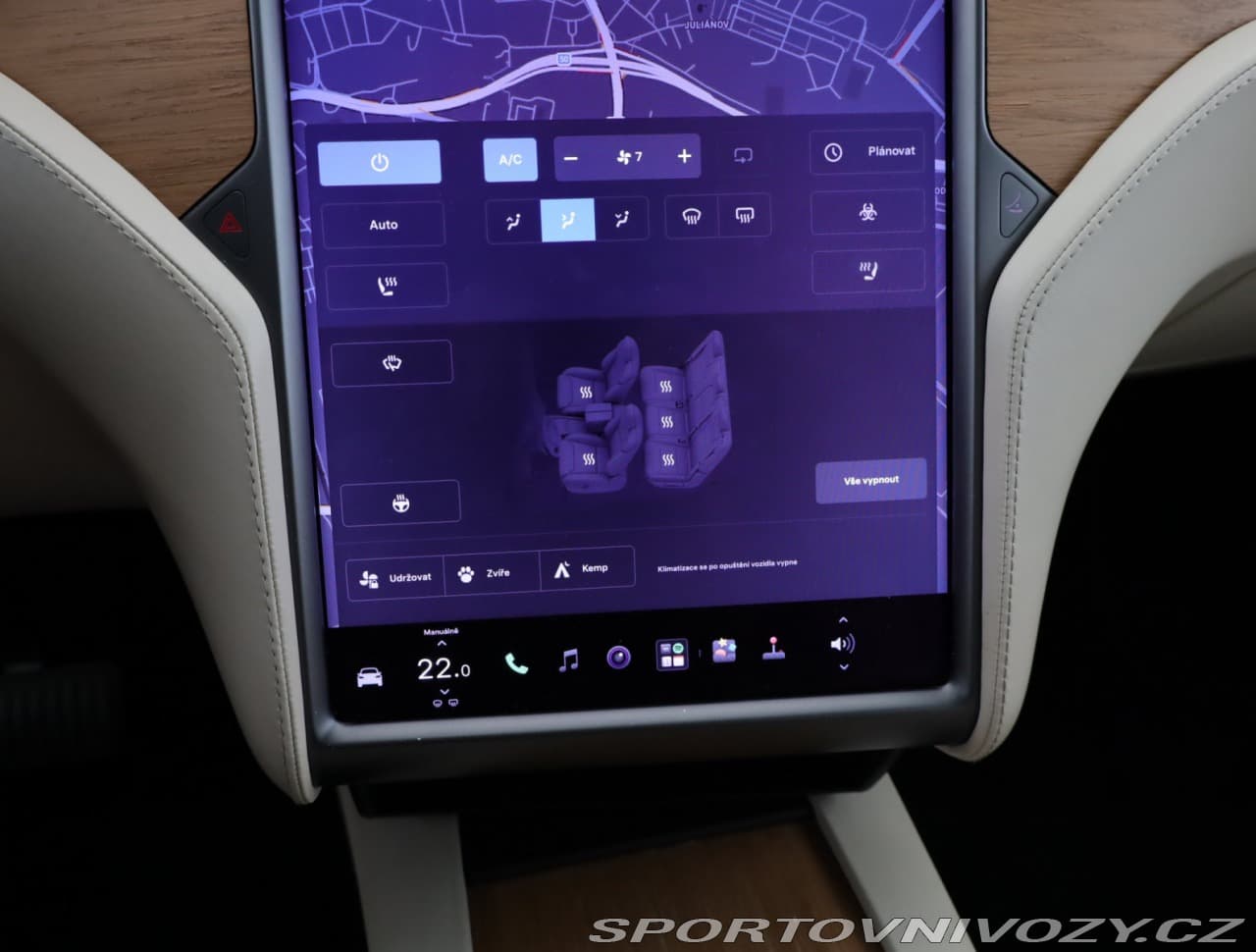 2020 Tesla MODEL X - 10