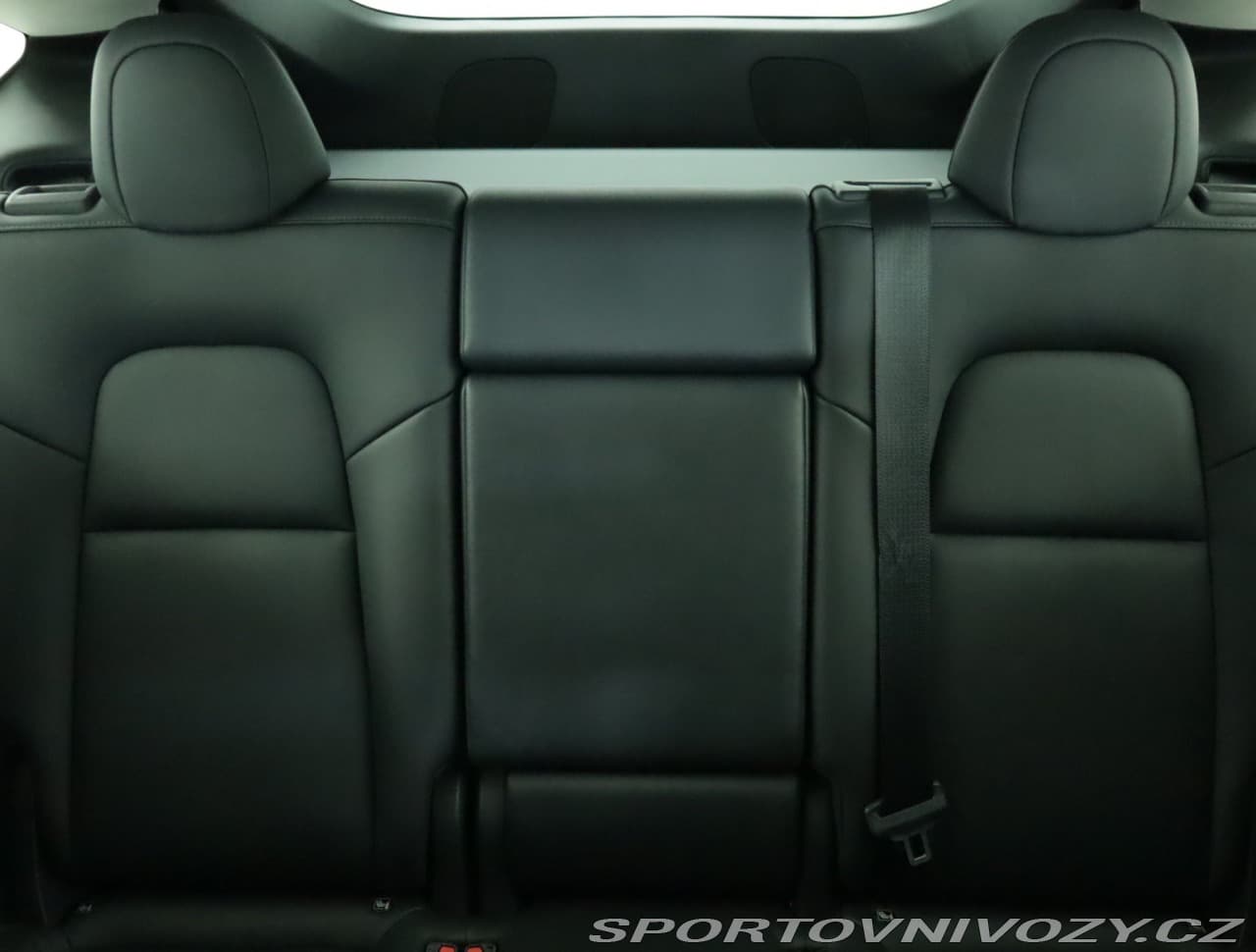2023 Tesla MODEL Y - 19