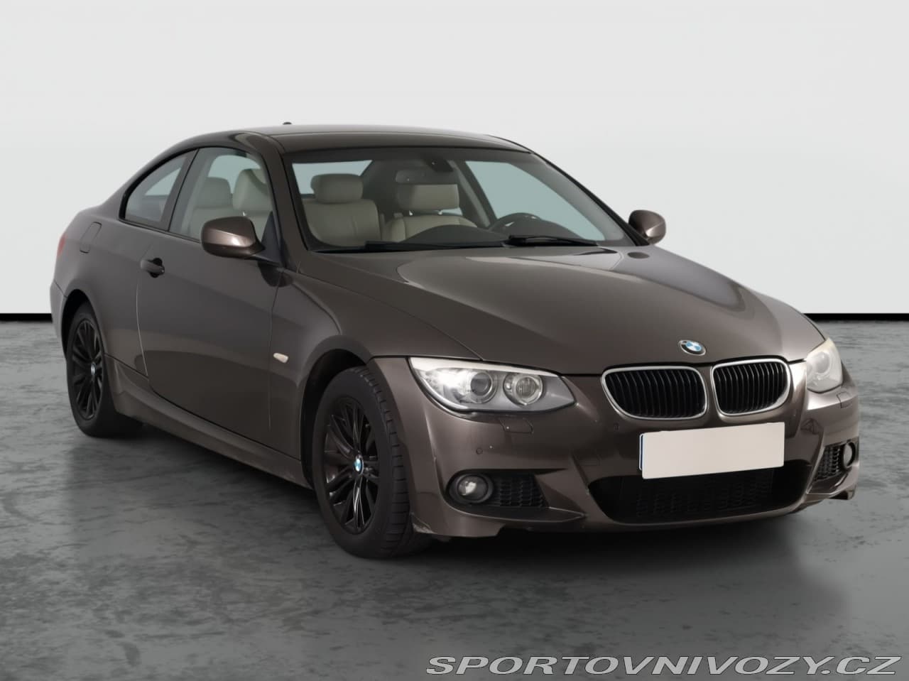 2010 BMW 3-SERIES
