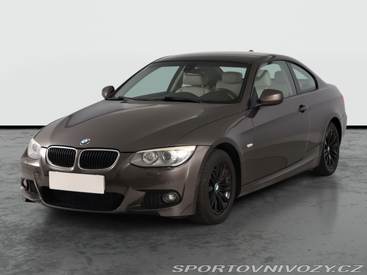 2010 BMW 3-SERIES - 2