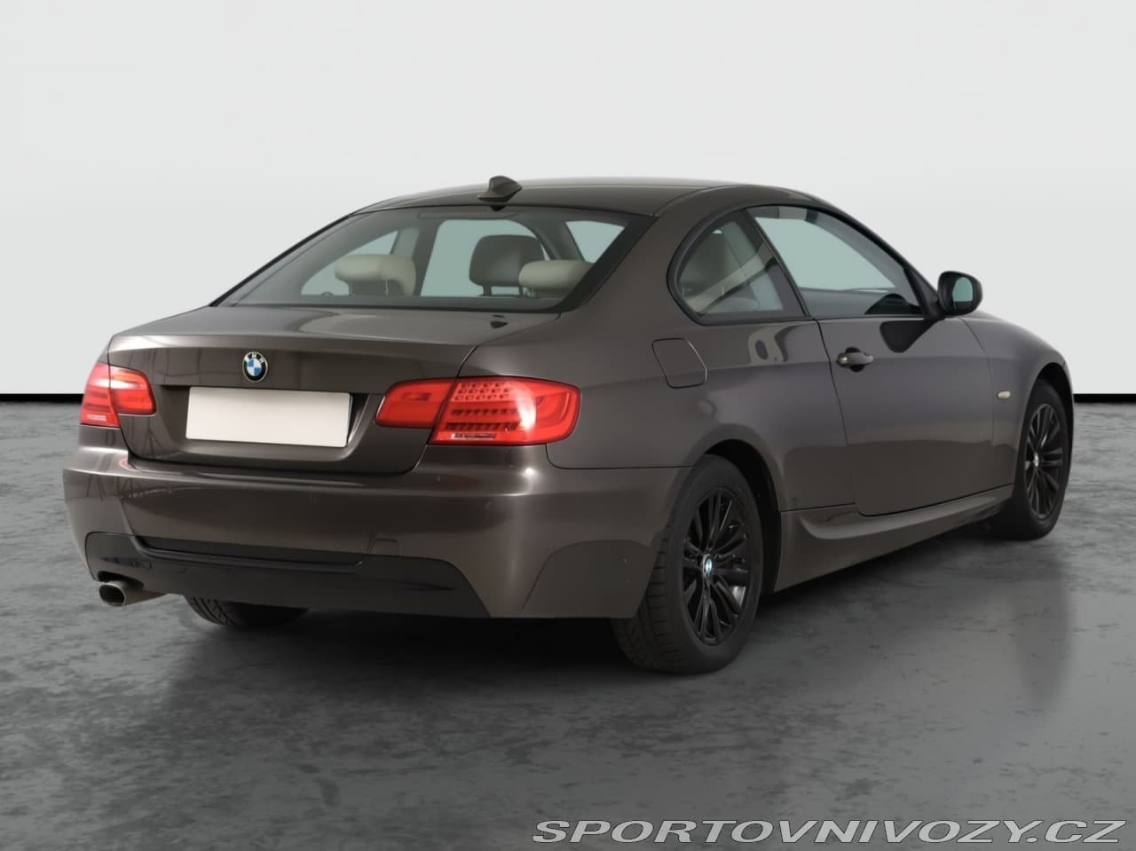 2010 BMW 3-SERIES - 5