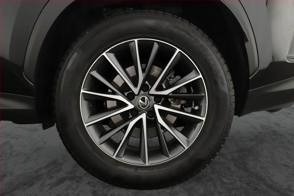 2023 Lexus OSTATNÍ - 13