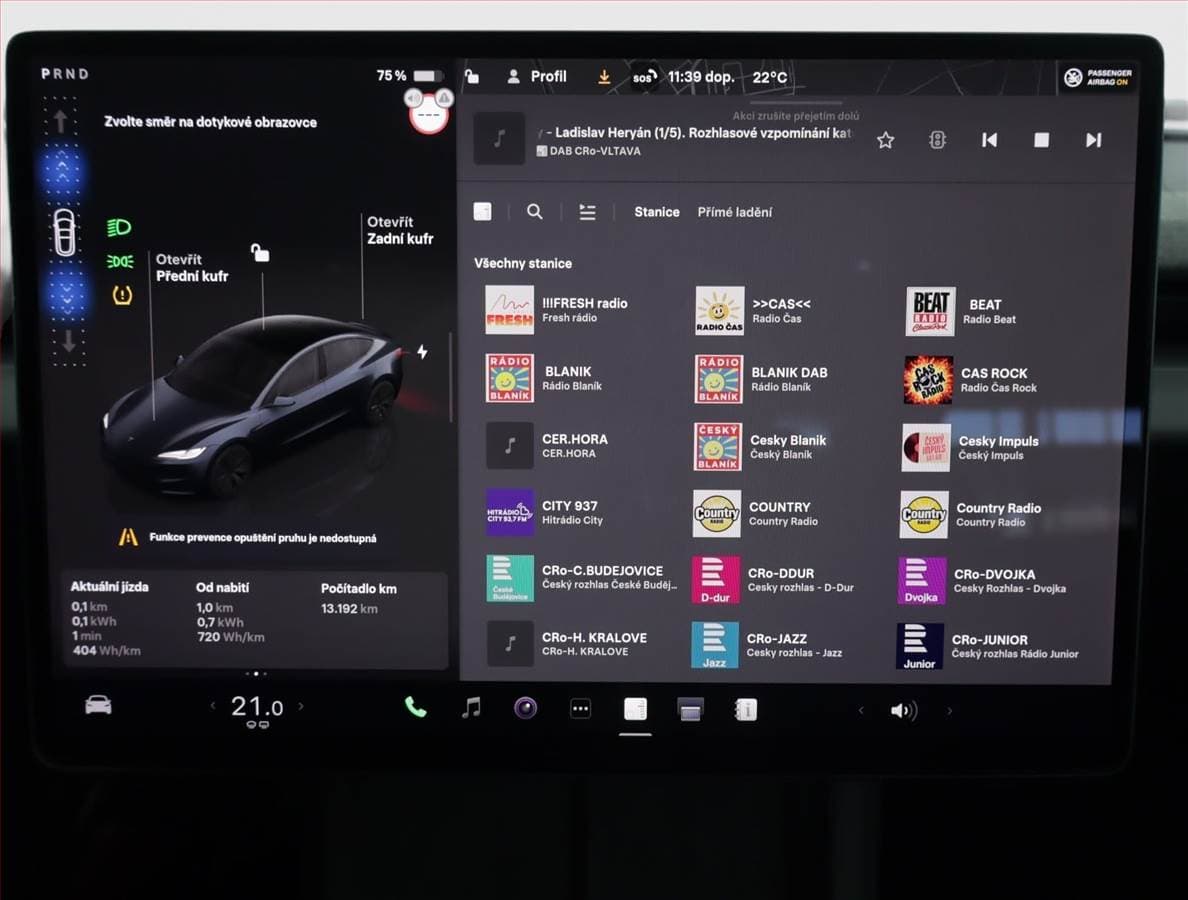 2025 Tesla MODEL 3 - 12