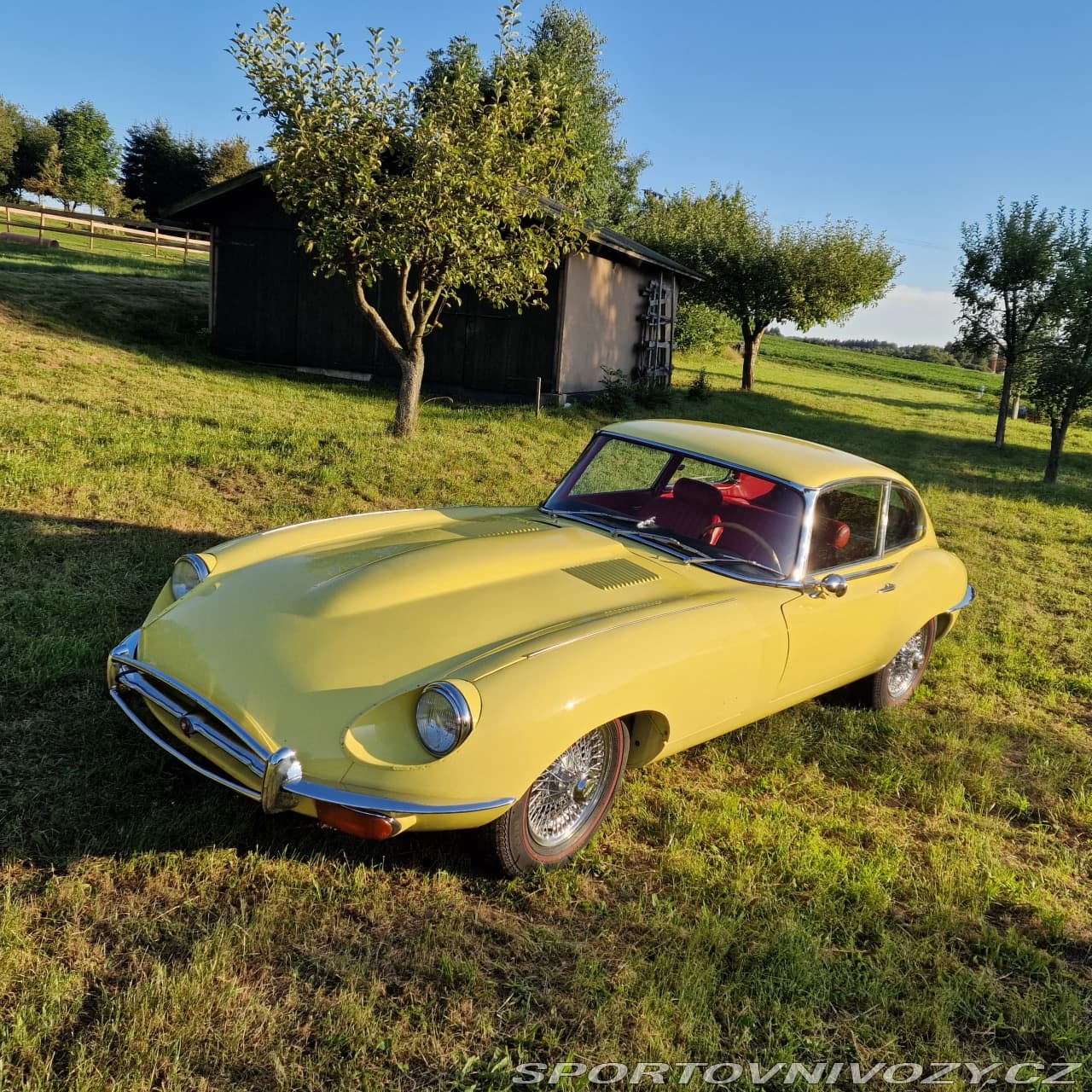 1968 Jaguar E-TYPE - 15