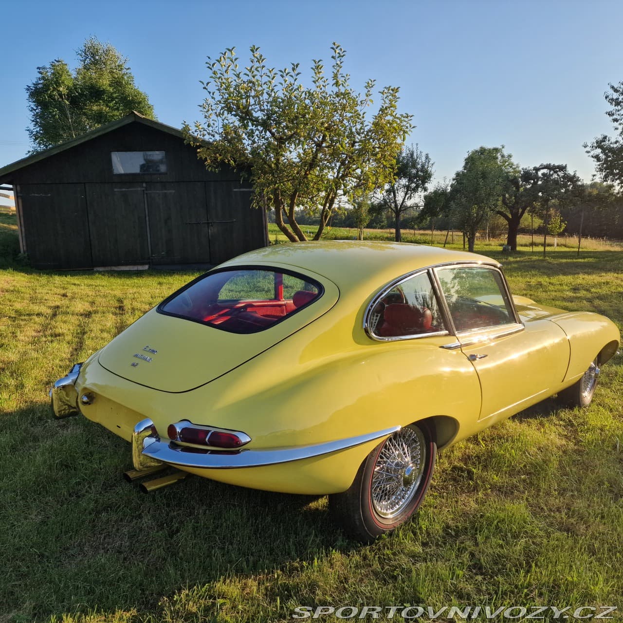 1968 Jaguar E-TYPE - 4