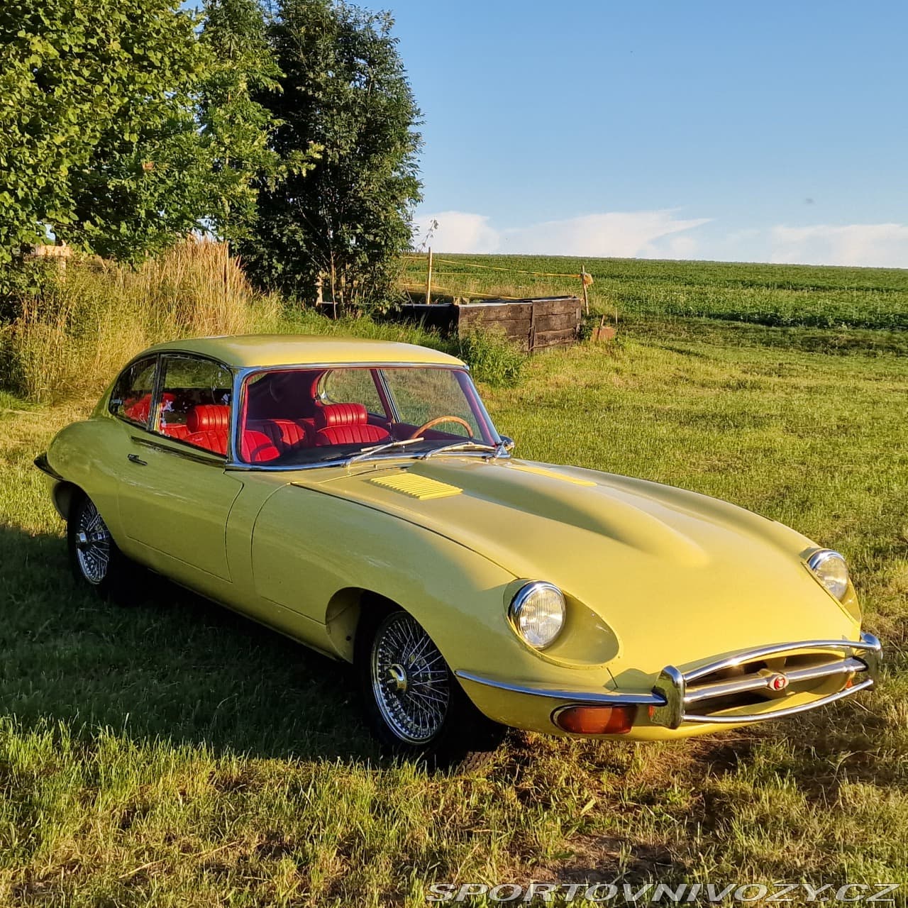 1968 Jaguar E-TYPE - 8