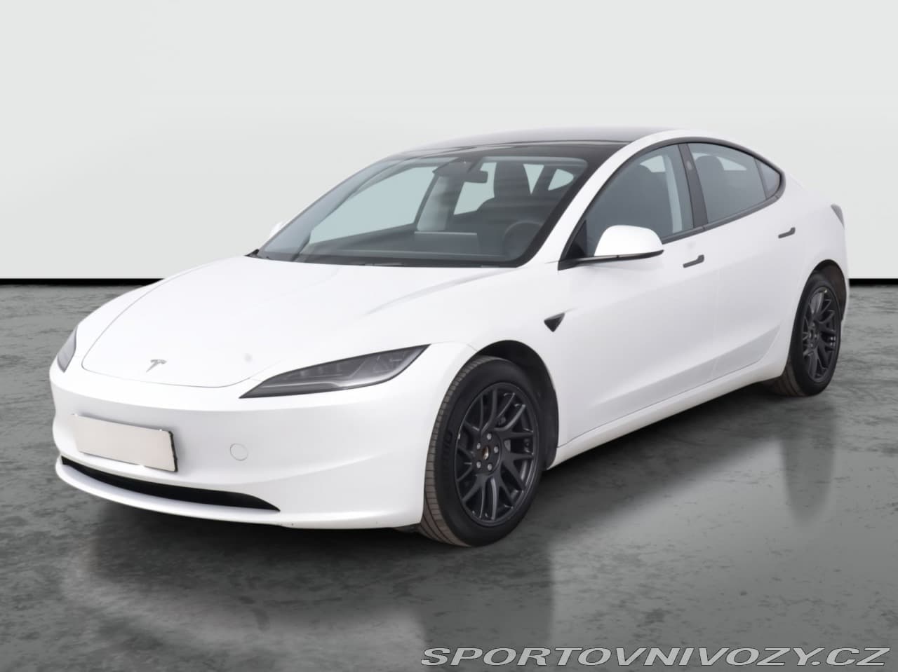2025 Tesla MODEL 3 - 2