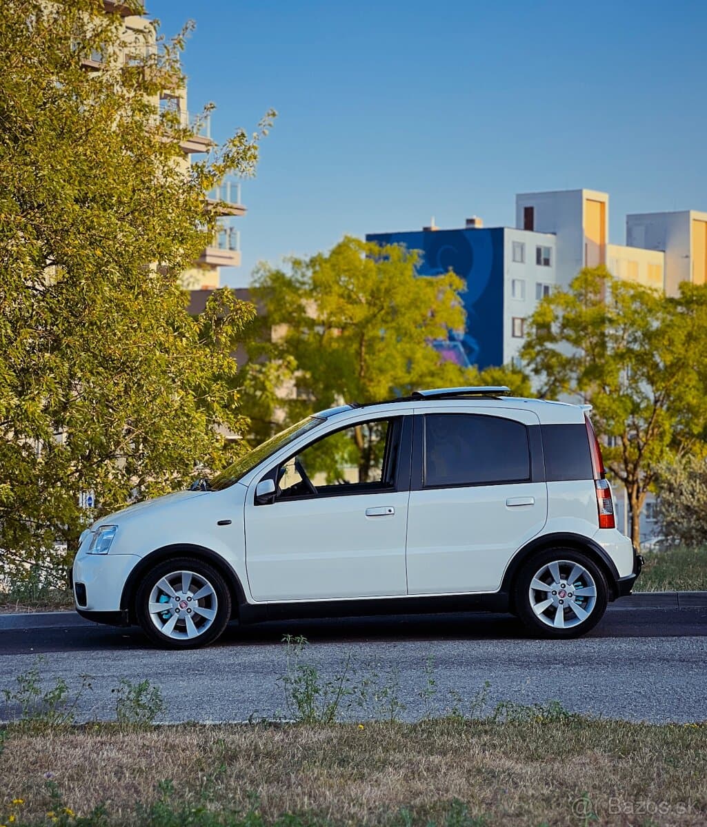 2008 Fiat OSTATNÍ - 7