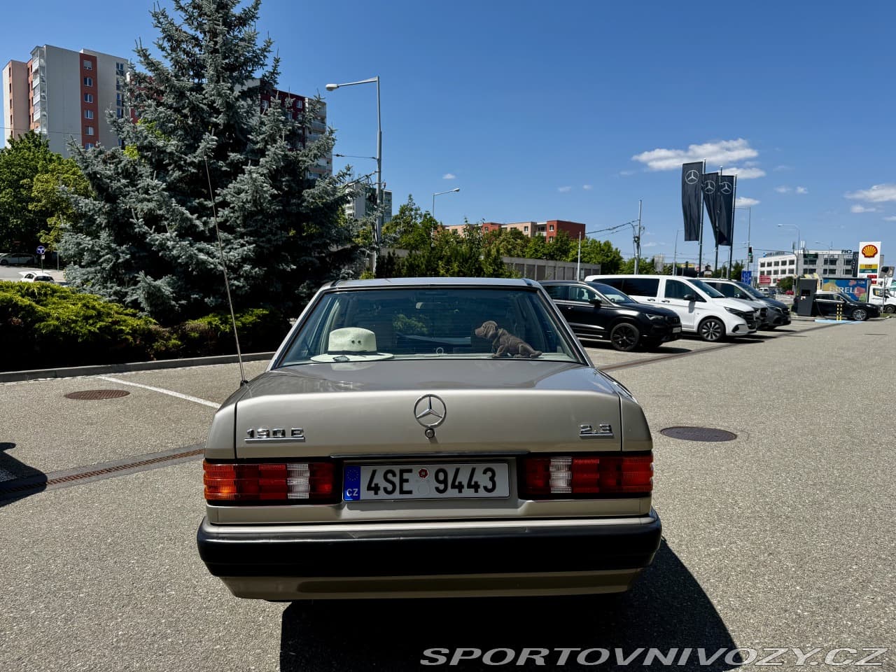 1988 Mercedes-Benz C-CLASS - 6