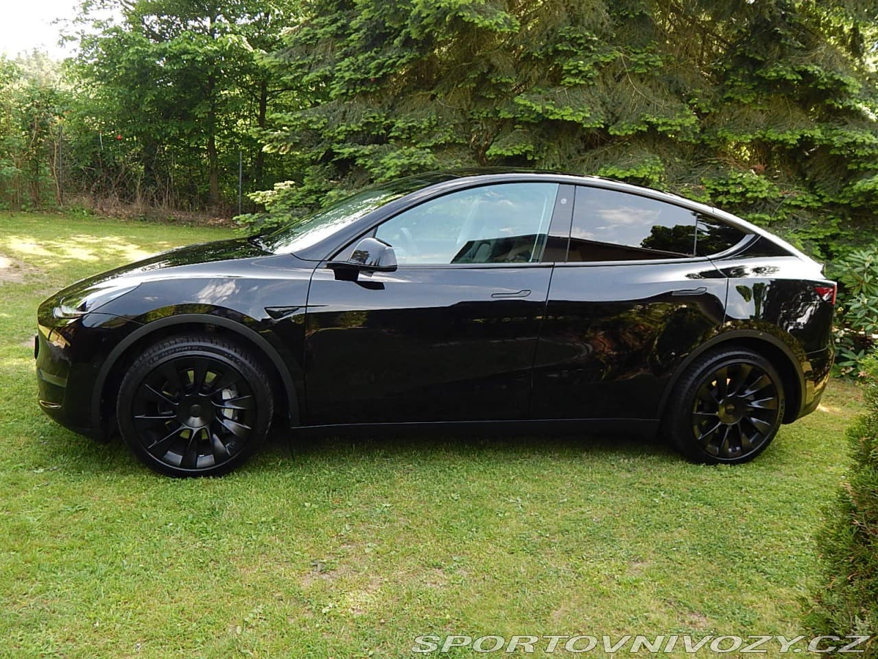 2022 Tesla MODEL Y - 8