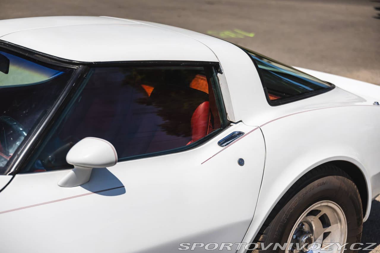 1980 Chevrolet CORVETTE - 10