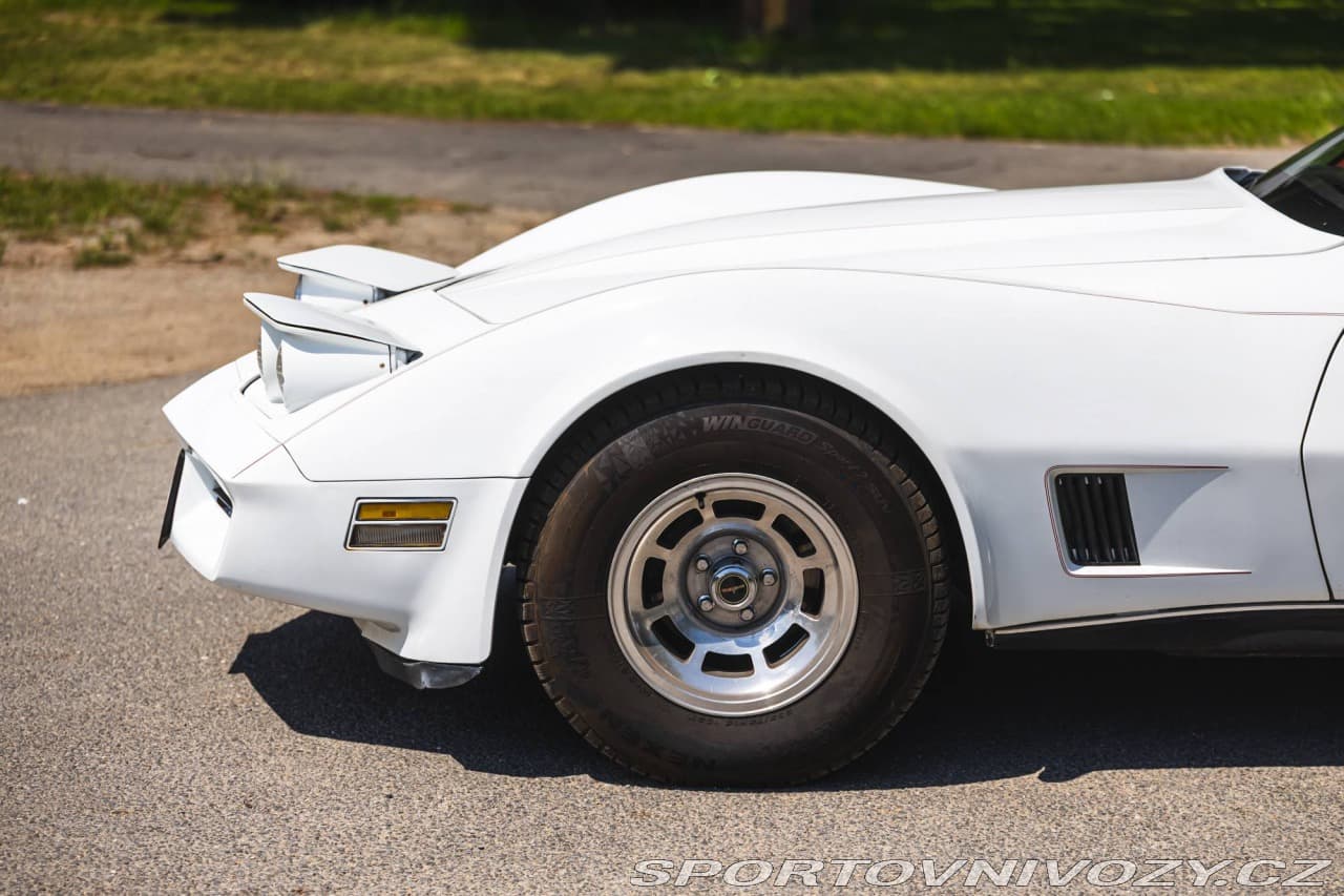 1980 Chevrolet CORVETTE - 11