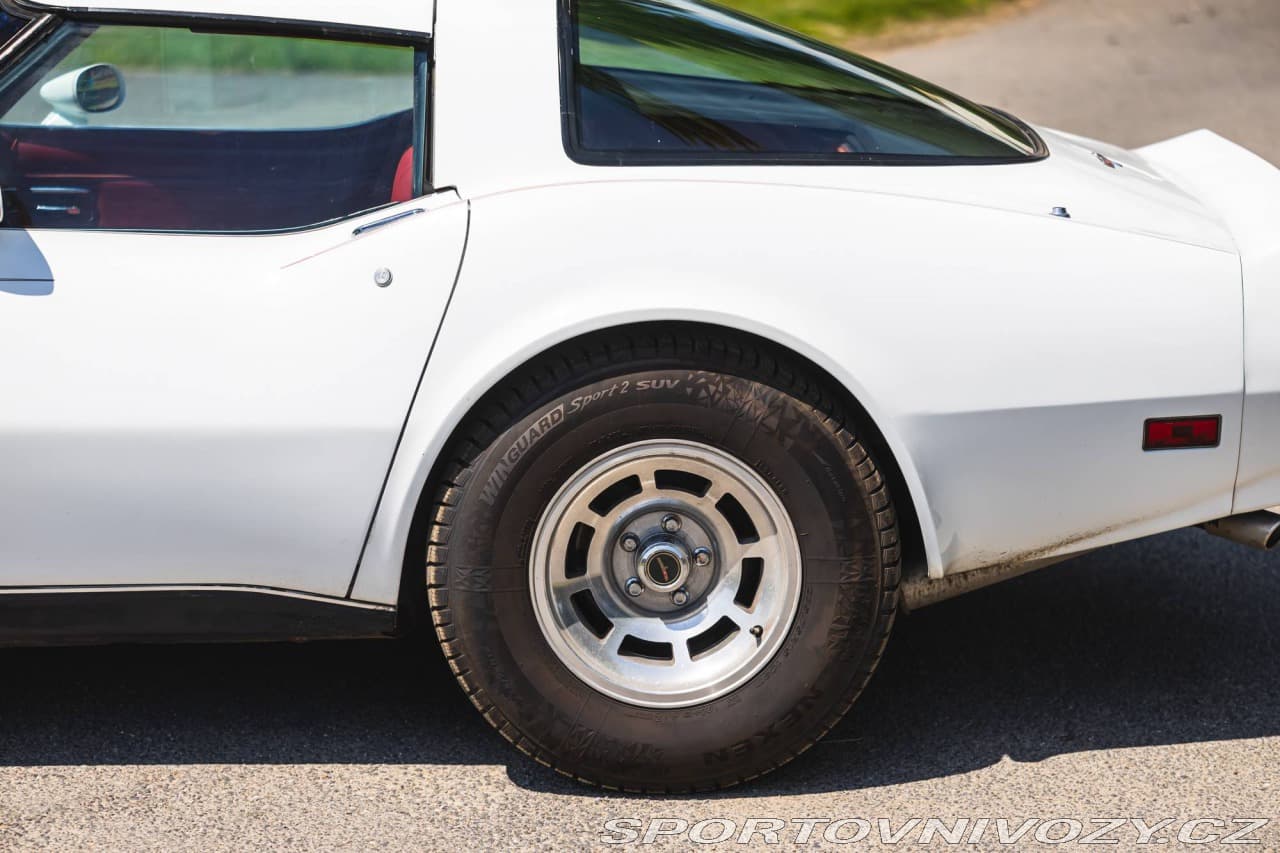 1980 Chevrolet CORVETTE - 12