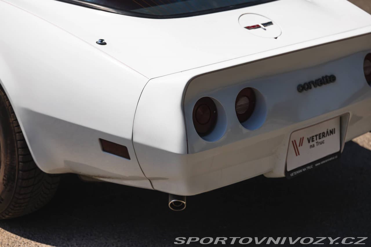 1980 Chevrolet CORVETTE - 13