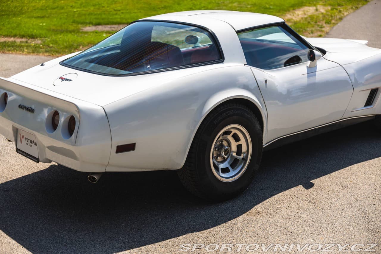 1980 Chevrolet CORVETTE - 15