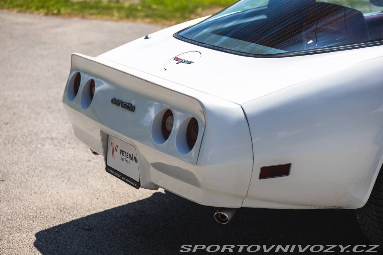 1980 Chevrolet CORVETTE - 16
