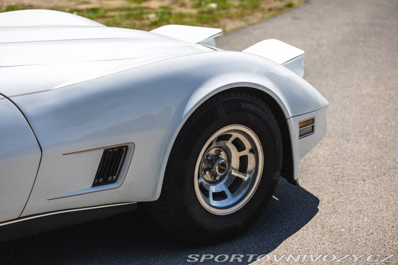 1980 Chevrolet CORVETTE - 17